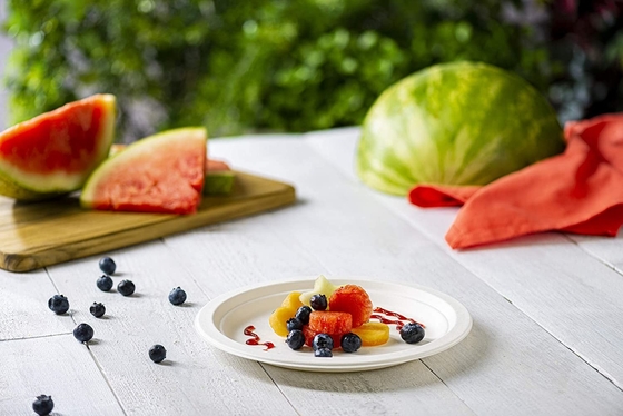 Round Kraft Paper Plate Freezable Waterproof For Party Dinnerware