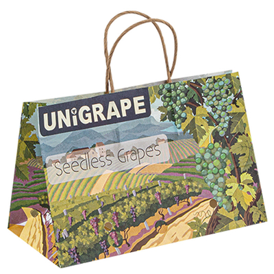 Apple Banana Guava Grape Protective Bag Cover Mango Fruit Protection Paper Bags